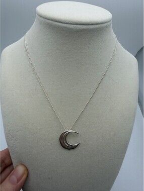 Tiffany&Co. Feather Crescent Moon Pendant & Frank Gehry Necklace Collectible
